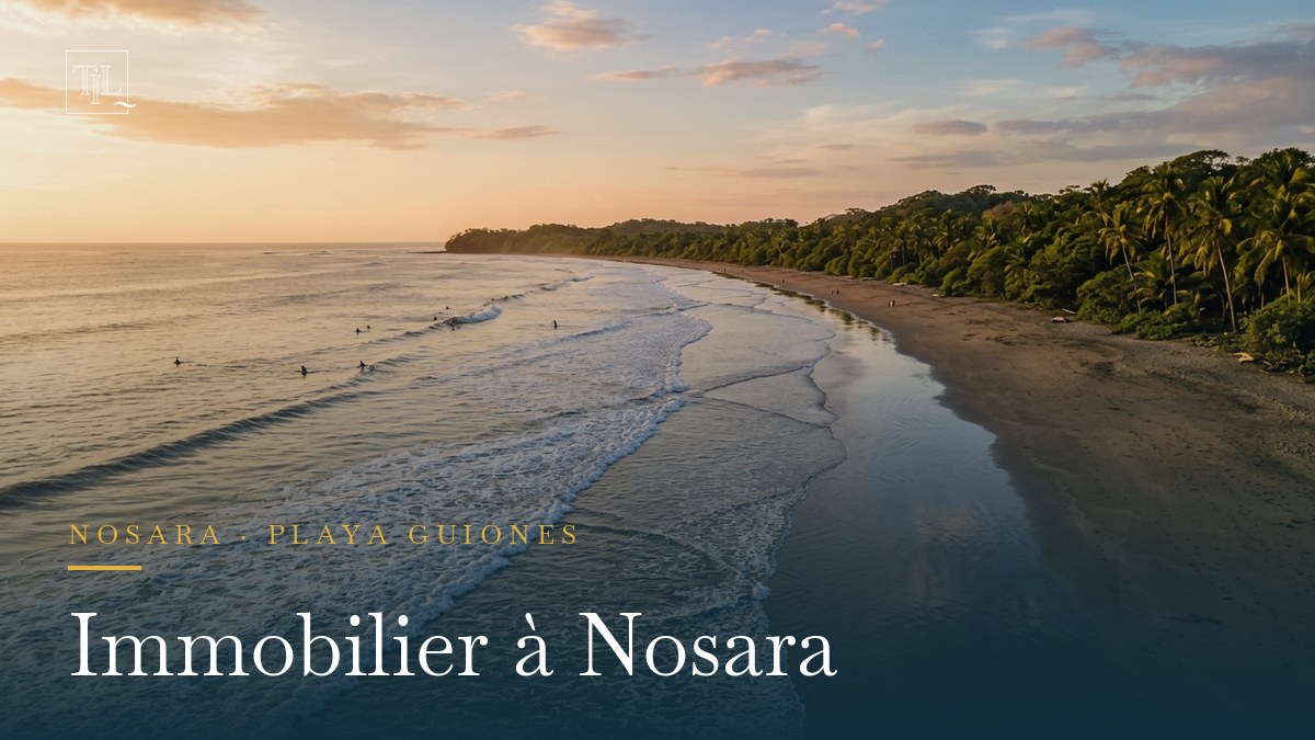 Immobilier à Nosara (Costa Rica) : acheter maison et villa à Playa Guiones